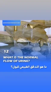 What is the normal flow of urine - Fariborz Bagheri