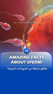 General Information 2 Amazing facts about sperm - dr fariborz baghheri