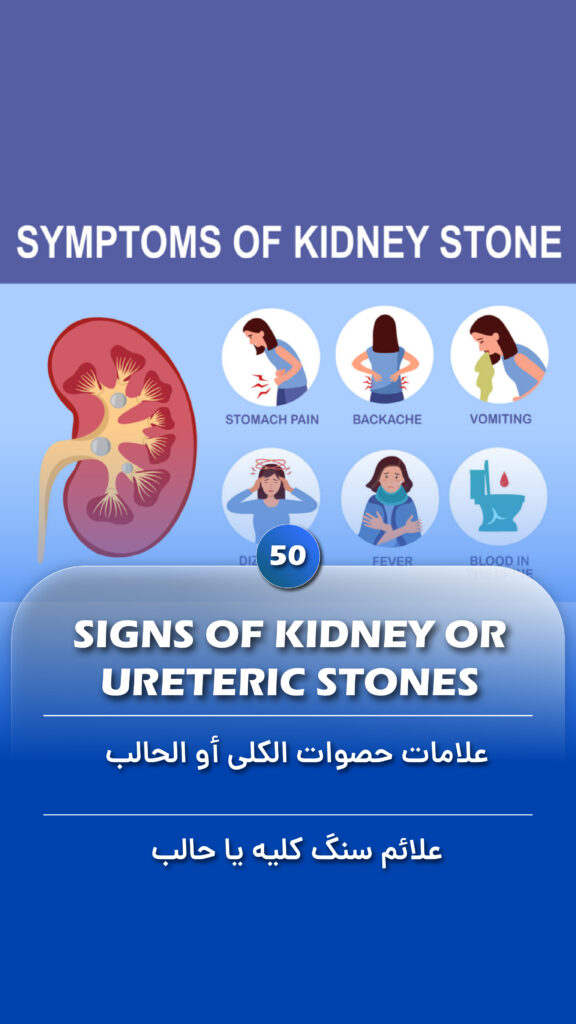 Signs of Kidney or Ureteric Stones - Fariborz Bagheri