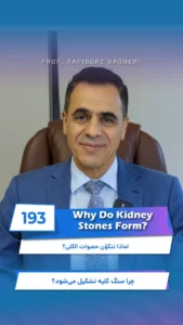 Professor Fariborz Bagheri 21 Causes of Kidney Stones