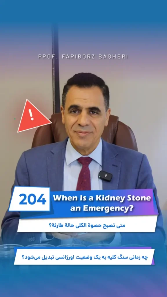 Kidney Stone Emergency – Warning Signs Requiring Urgent Medical Attention